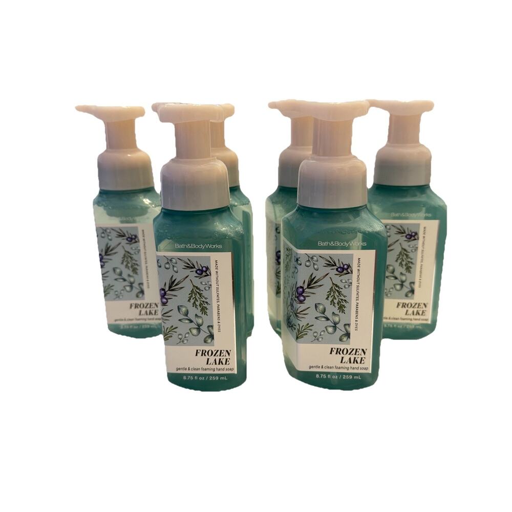 5 x Bath & Body Works FROZEN LAKE Gentle & Clean Foaming Hand Soap 8.75 Oz